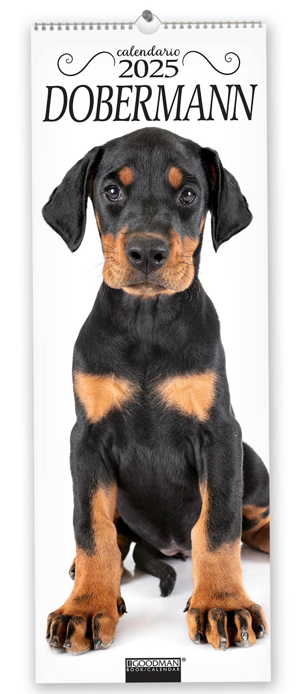 Dobermann. Calendario 2025. Long