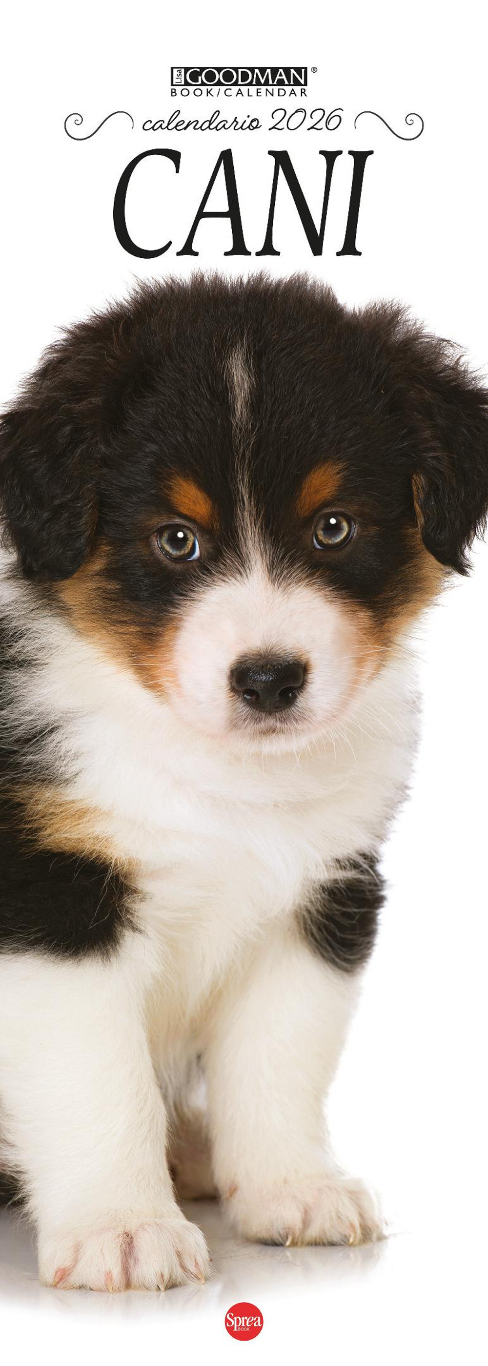Cani. Calendario 2026. Long