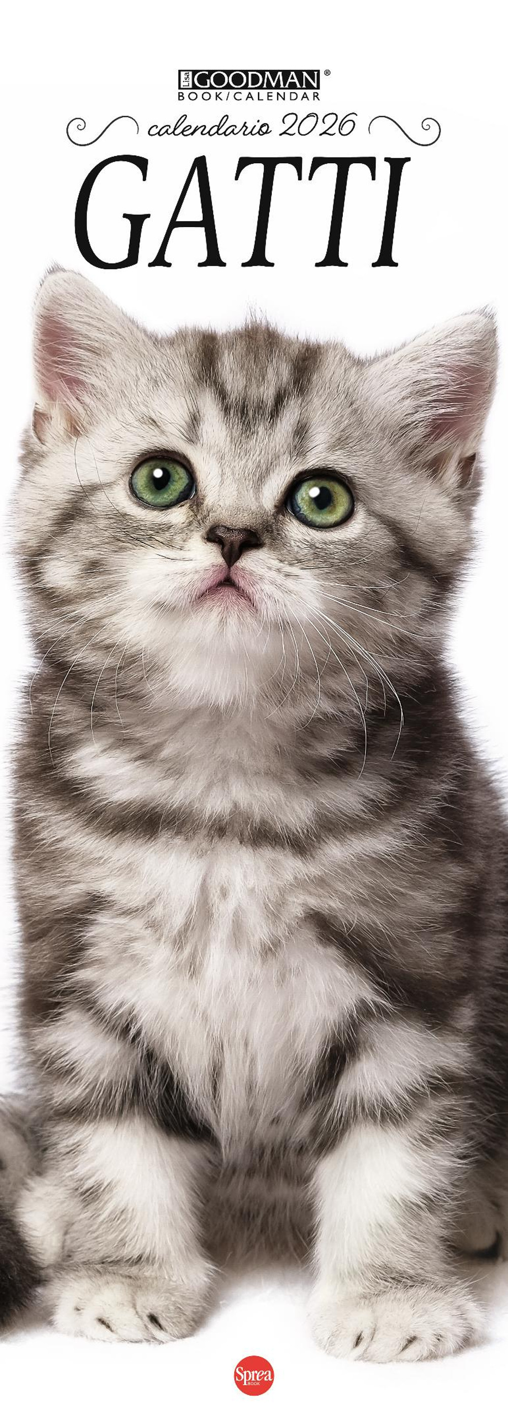 Gatti. Calendario 2026. Long