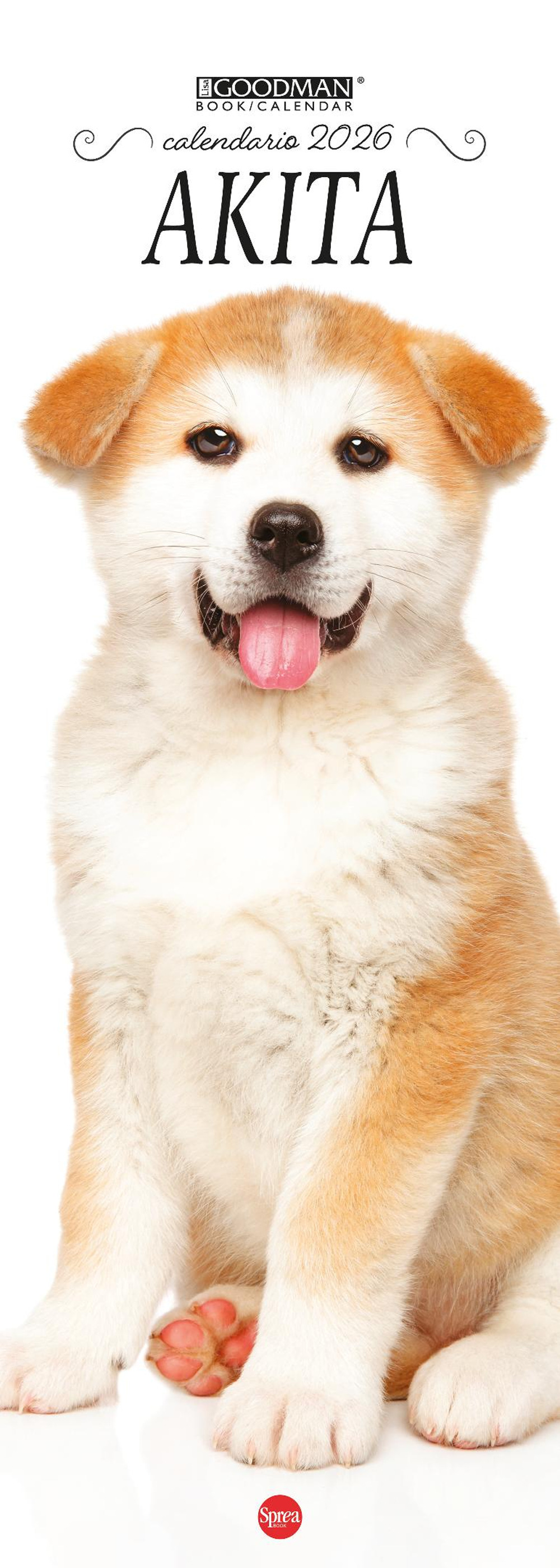 Akita Inu. Calendario 2026. Long