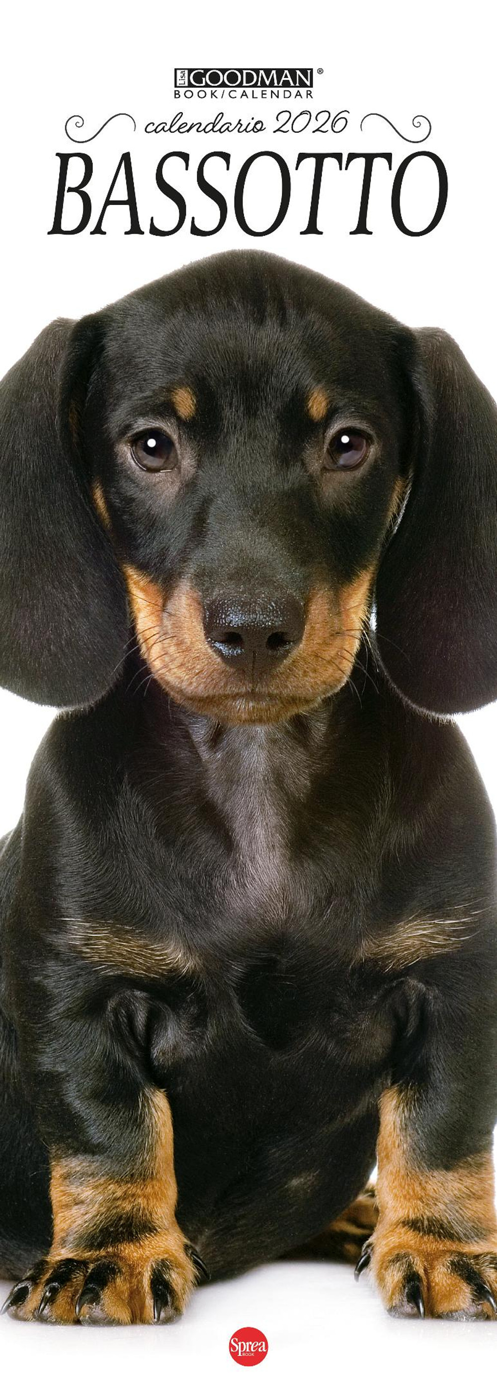 Bassotto. Calendario 2026. Long