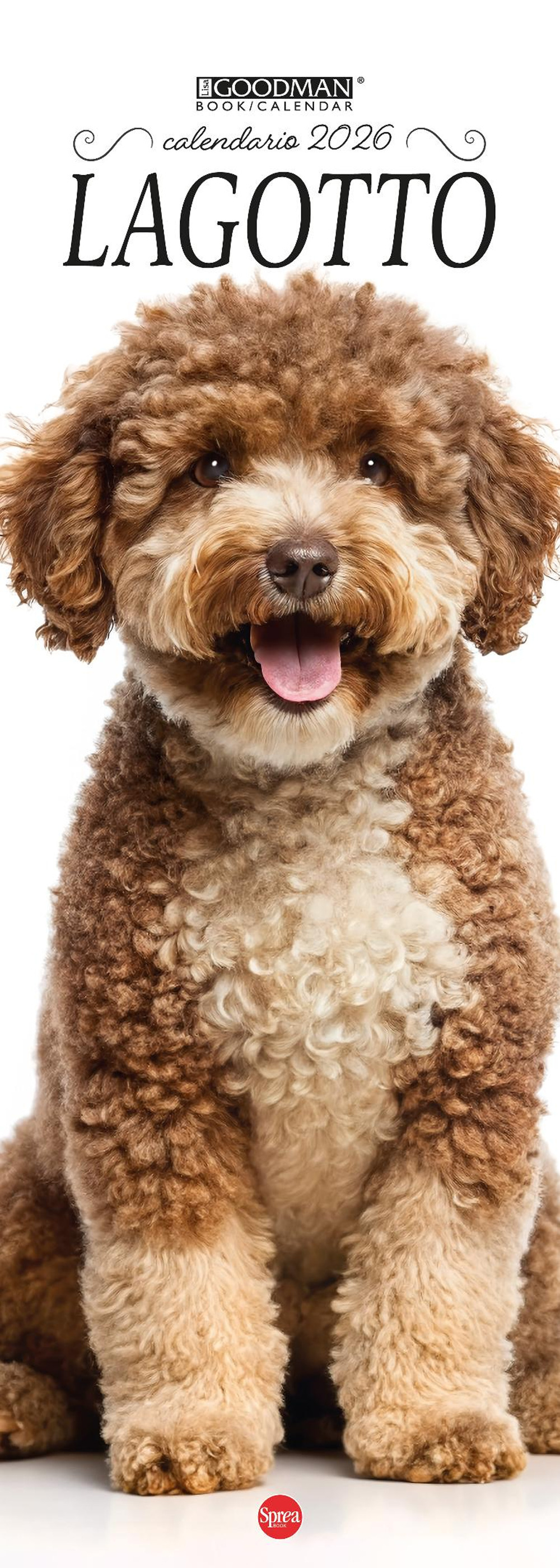 Lagotto. Calendario 2026. Long