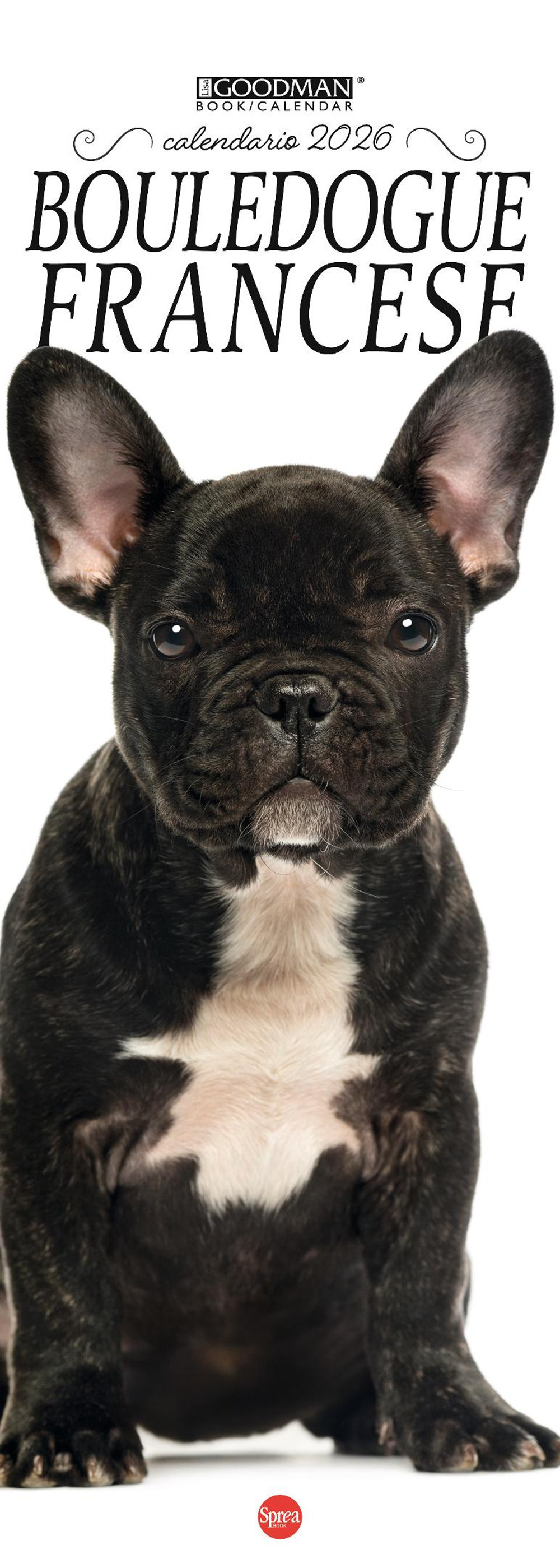Bouledogue francese. Calendario 2026 Long