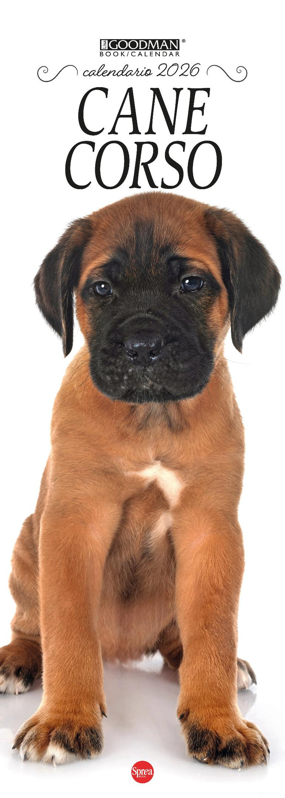 Cane corso. Calendario 2026. Long