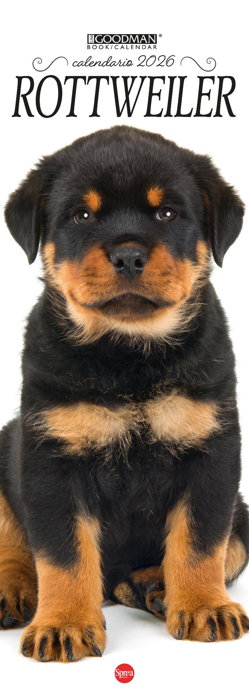 Rottweiler. Calendario 2026. Long
