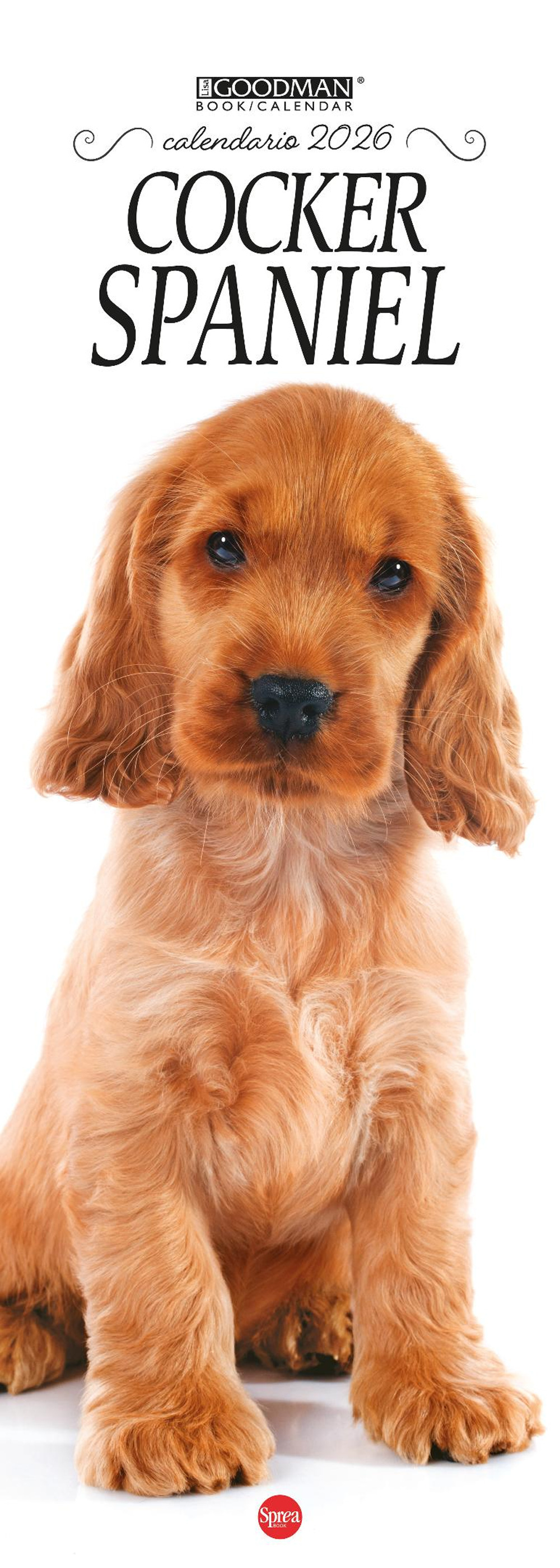 Cocker Spaniel. Calendario 2026. Long