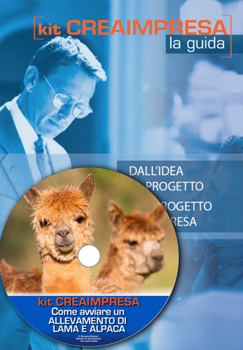 Come avviare un allevamento di lama e alpaca