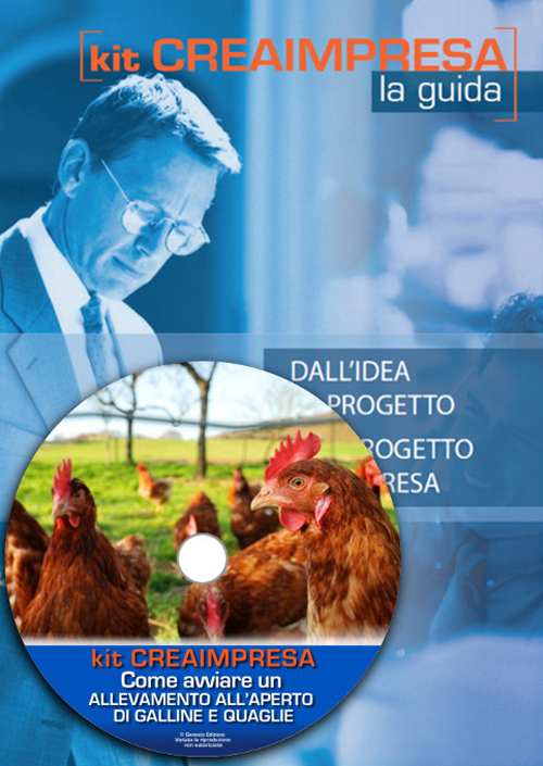 Come avviare un allevamento biologico all'aperto di galline ovaiole e quaglie