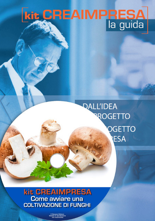 Come avviare una coltivazione di funghi