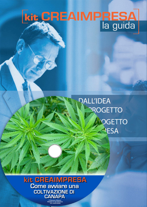 Come avviare una coltivazione di canapa. Con aggiornamento 2018