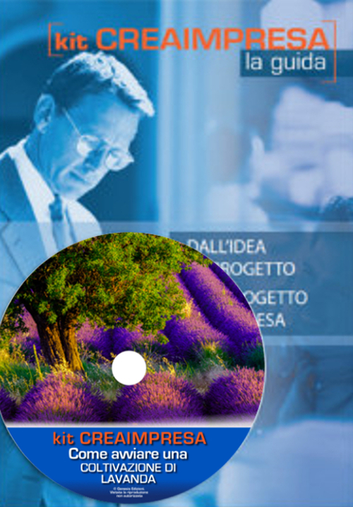 Come avviare una coltivazione di lavanda