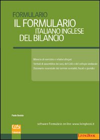 Il formulario italiano inglese del bilancio