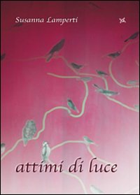 Attimi di luce