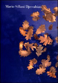 Mario Sillani Djerrahian. Inizio e fine del paesaggio