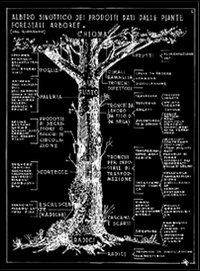 I disegni di Romano Barocchi per il manuale di tecnologia del legno