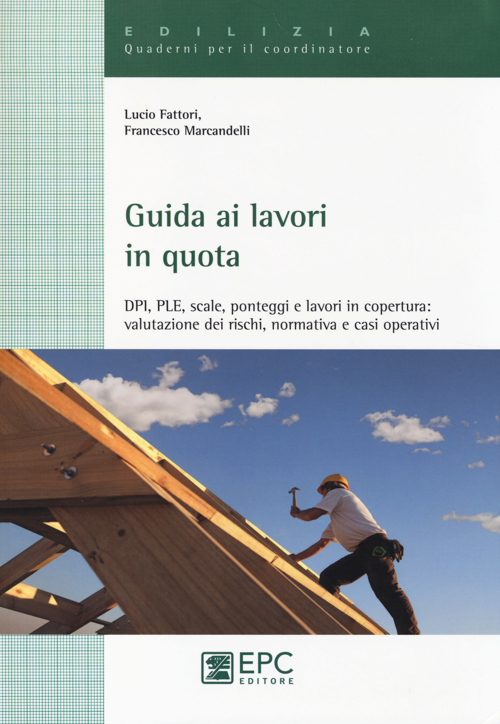 Guida ai lavori in quota. DPI, PLE, scale, ponteggi e lavori in copertura. Valutazione dei rischi, normativa e casi operativi