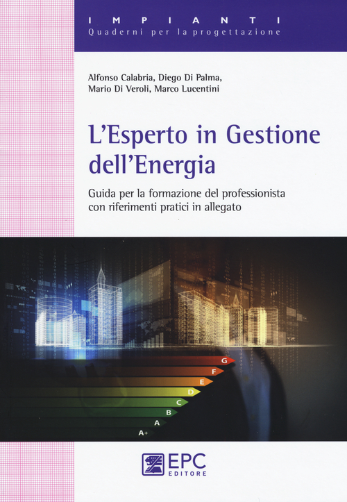 L'esperto in gestione dell'energia. Guida per la formazionre del professionista con riferimenti pratici in allegato
