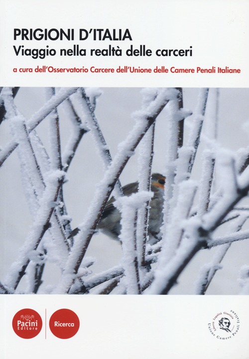 Prigioni d'Italia. Viaggio nella realtà delle carceri