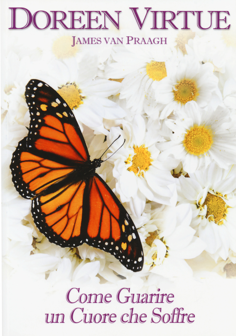 Come guarire un cuore che soffre