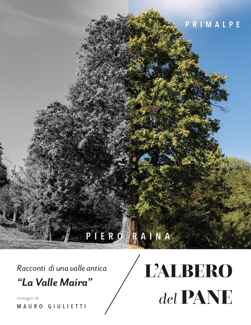L'albero del pane. Racconti di una valle antica «la valle Maira»