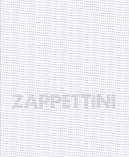 Gianfranco Zappettini