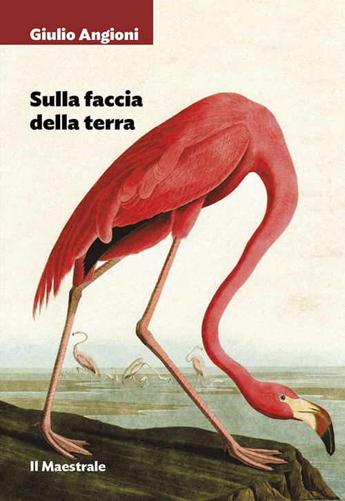 Sulla faccia della terra