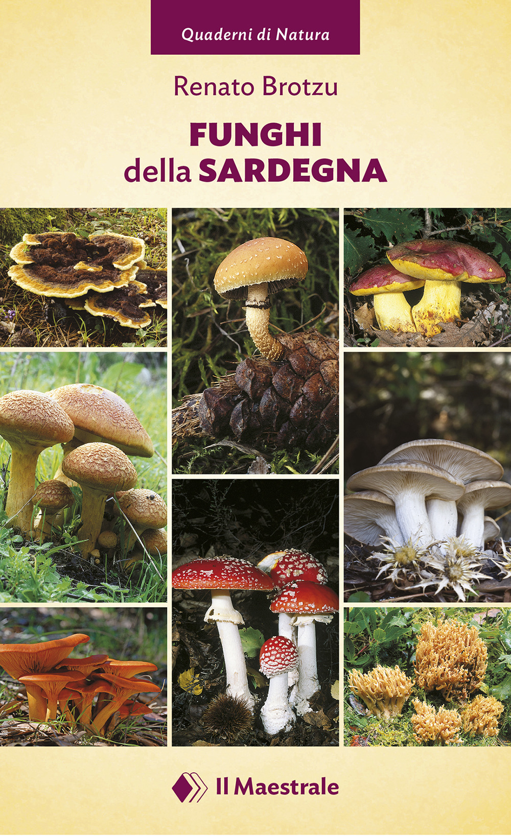 Funghi della Sardegna