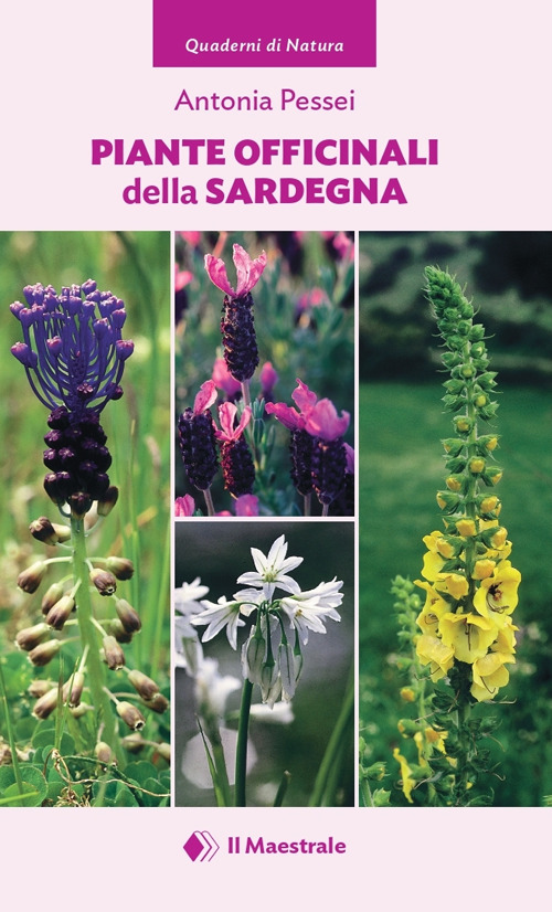 Piante officinali della Sardegna