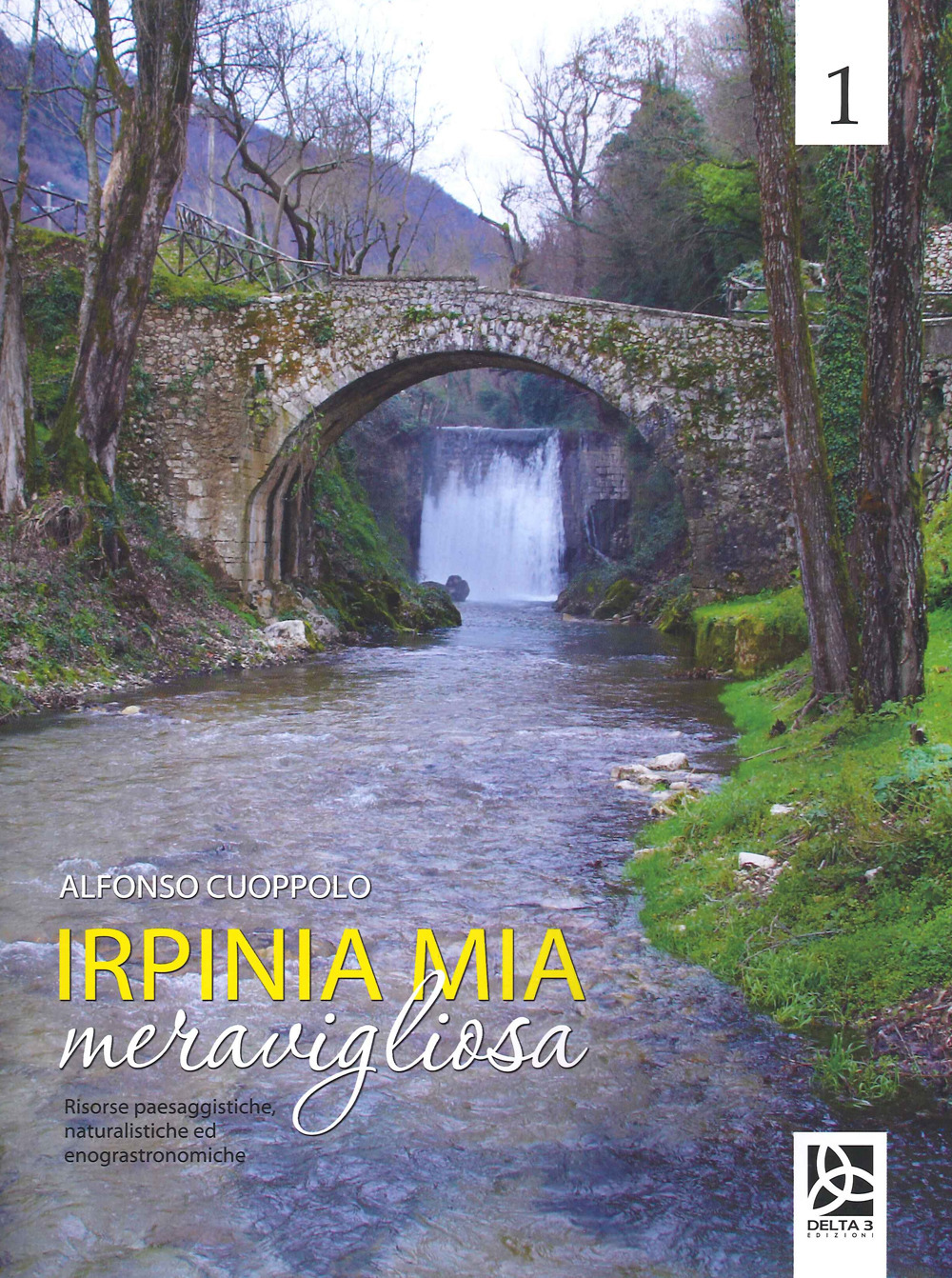 Irpinia mia meravigliosa. Vol. 1