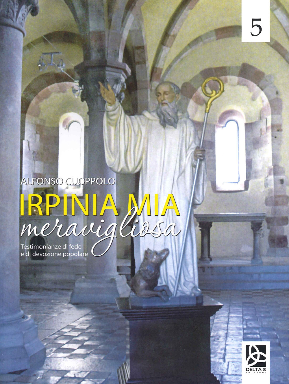 Irpinia mia meravigliosa. Vol. 5