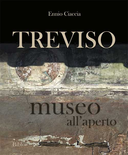 Treviso museo all'aperto