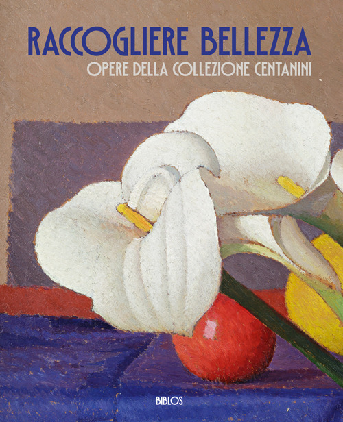 Raccogliere bellezza. Opere della collezione Centanini
