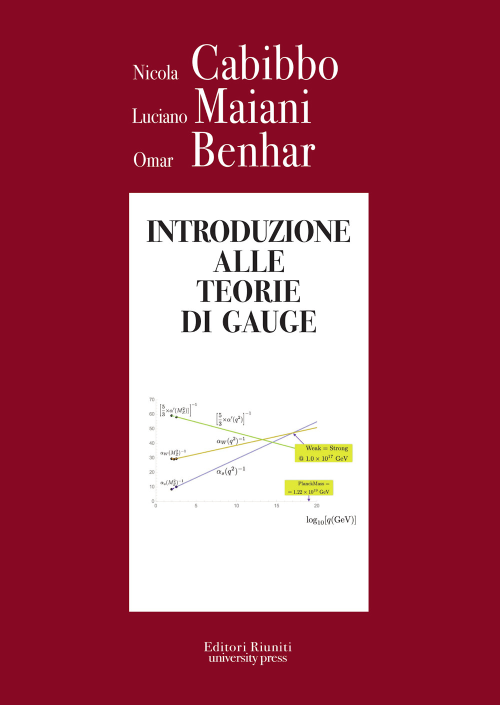 Introduzione alle teorie di Gauge