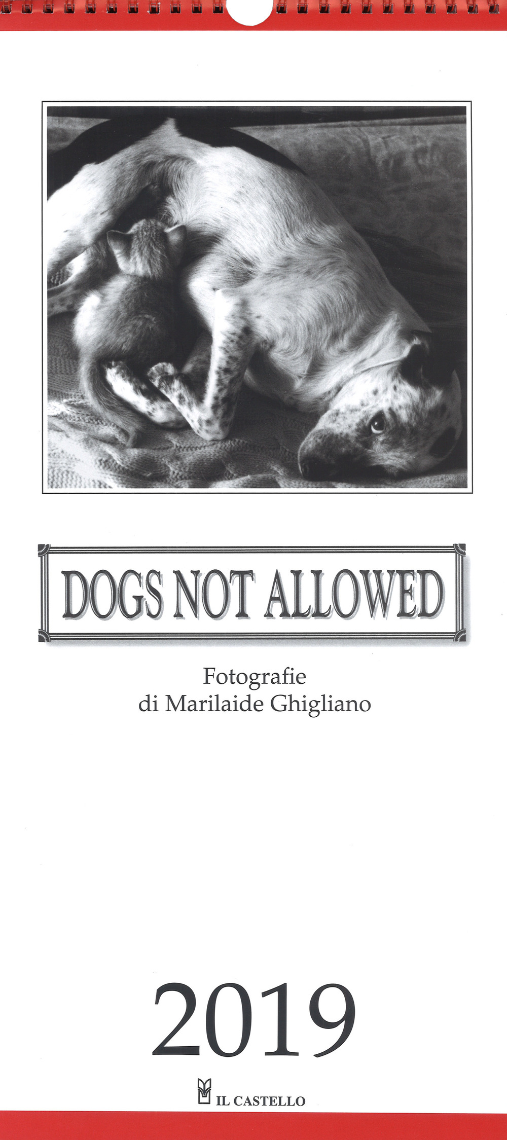 Calendario Dogs not allowed 2019