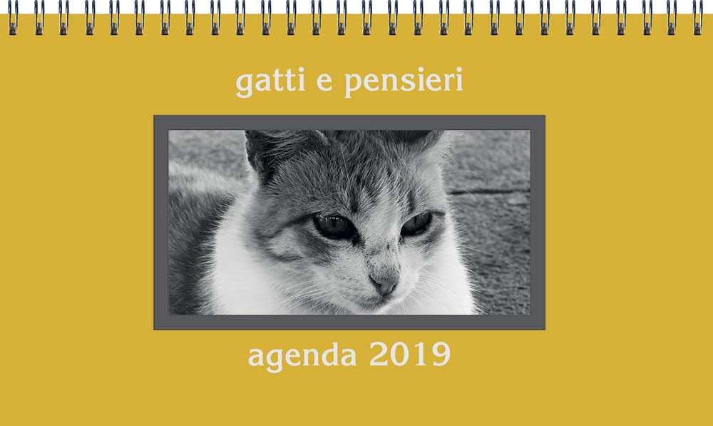 Gatti e pensieri. Agenda 2019