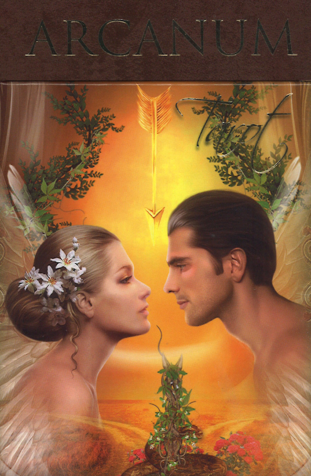 Arcanum tarot. Ediz. multilingue