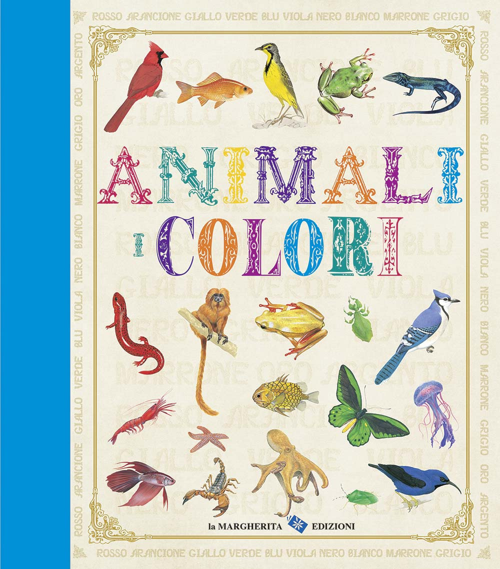 Animali. I colori