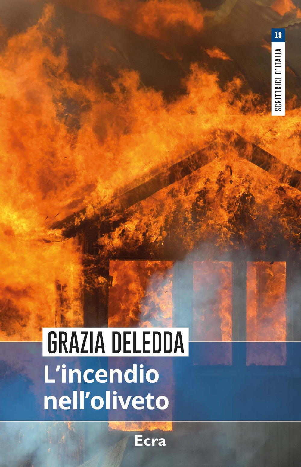 L'incendio nell'oliveto