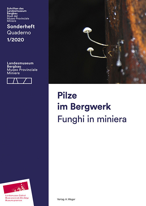 Pilze im Bergwerk-Funghi in miniera