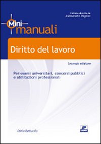 Diritto del lavoro. Teoria e test per la preparazione all'esame