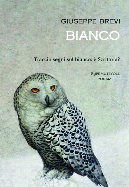 Bianco. Traccio segni sul bianco: è scrittura?