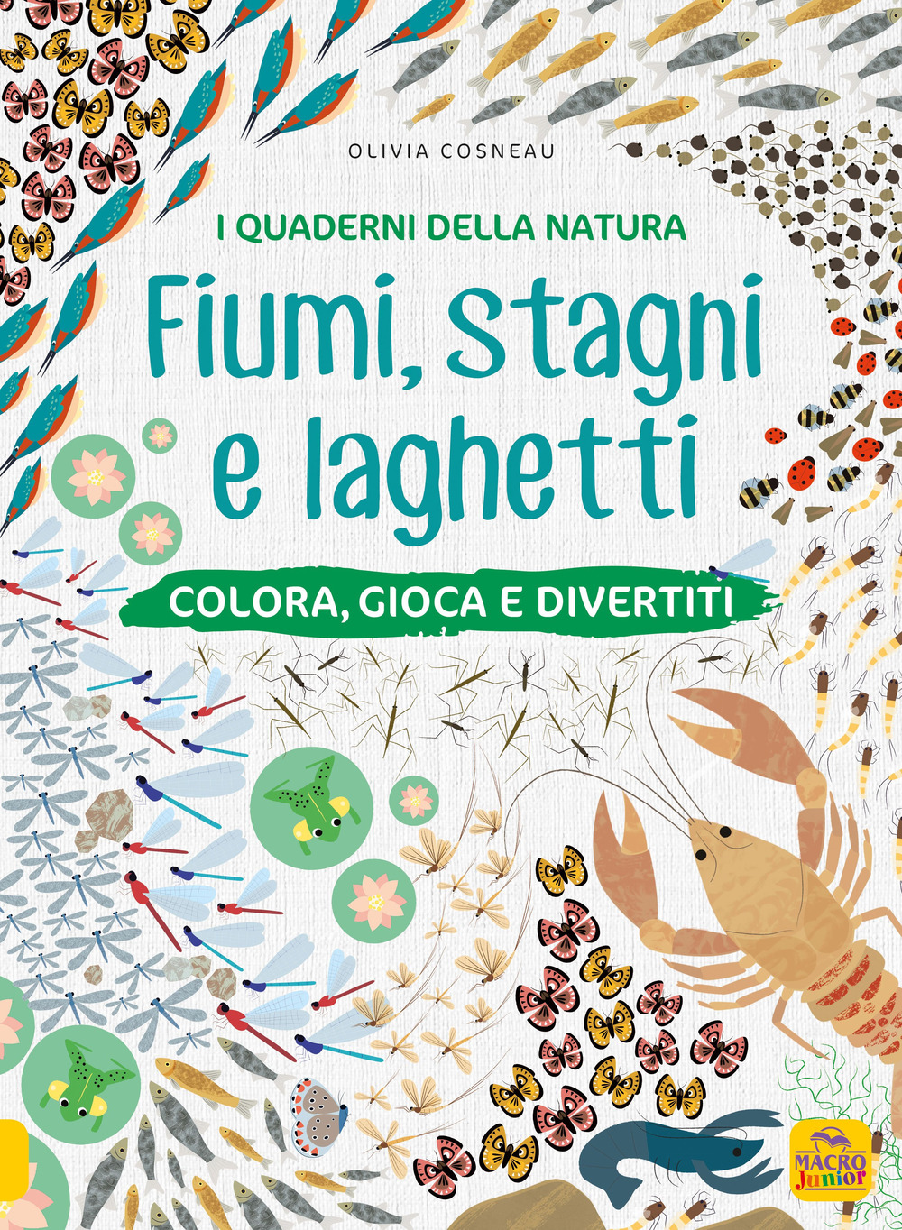 Fiumi, stagni e laghetti. Colora, gioca e divertiti. Con adesivi