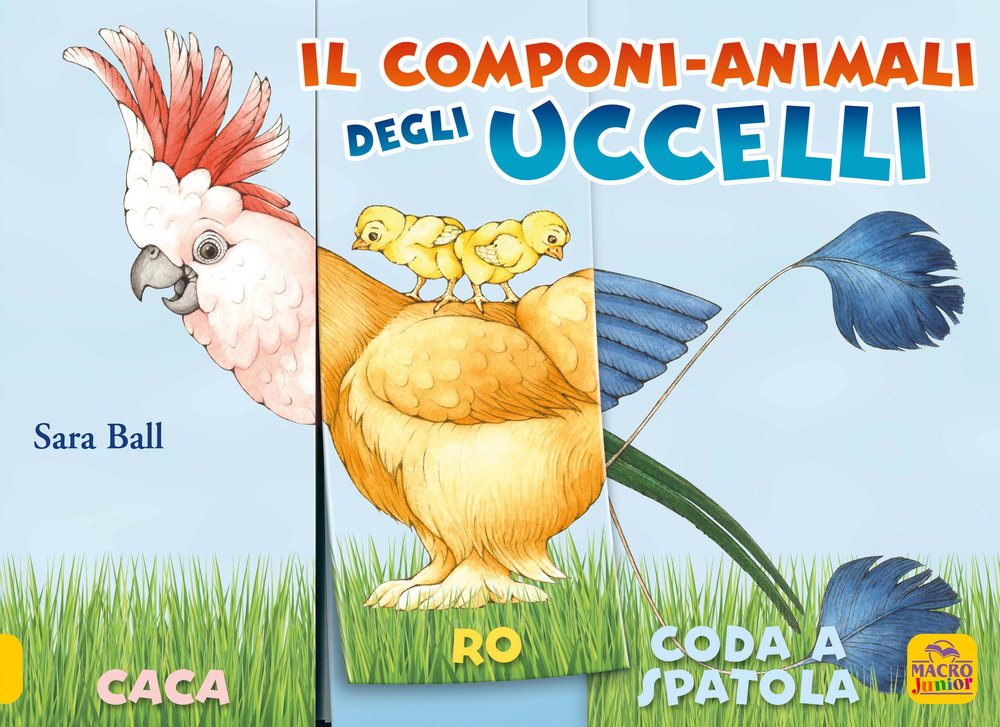 Il componi-animali degli uccelli