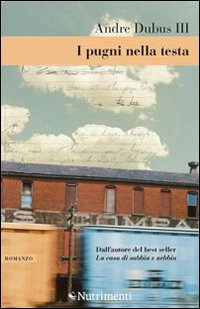 I pugni nella testa. Storia di un'adolescenza