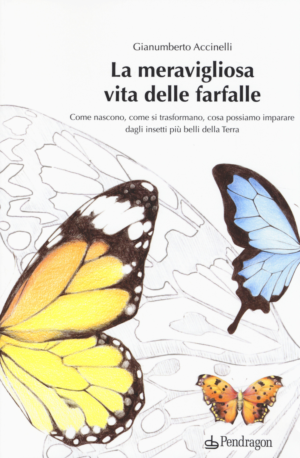 La meravigliosa vita delle farfalle. Come nascono, come si trasformano, cosa possiamo imparare dagli insetti più belli della Terra