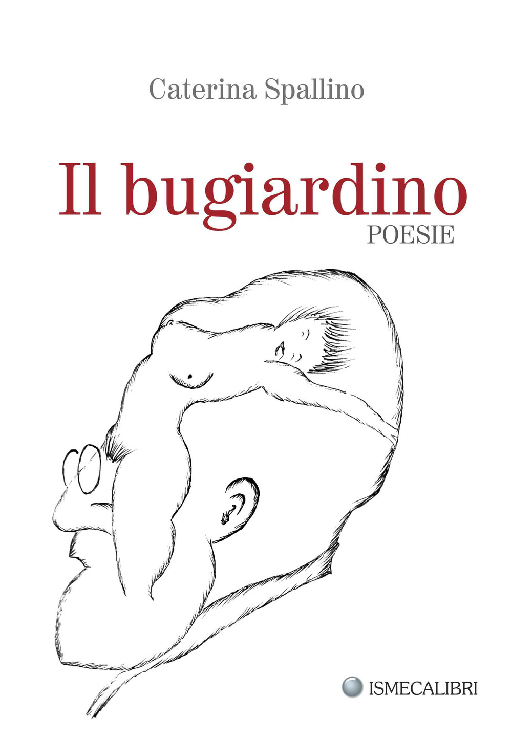 Il bugiardino