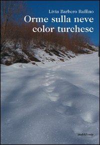 Orme sulla neve color turchese