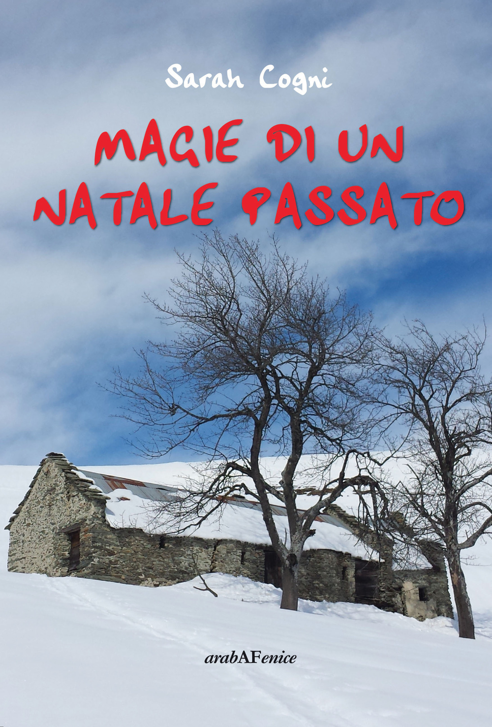 Magie di un Natale passato