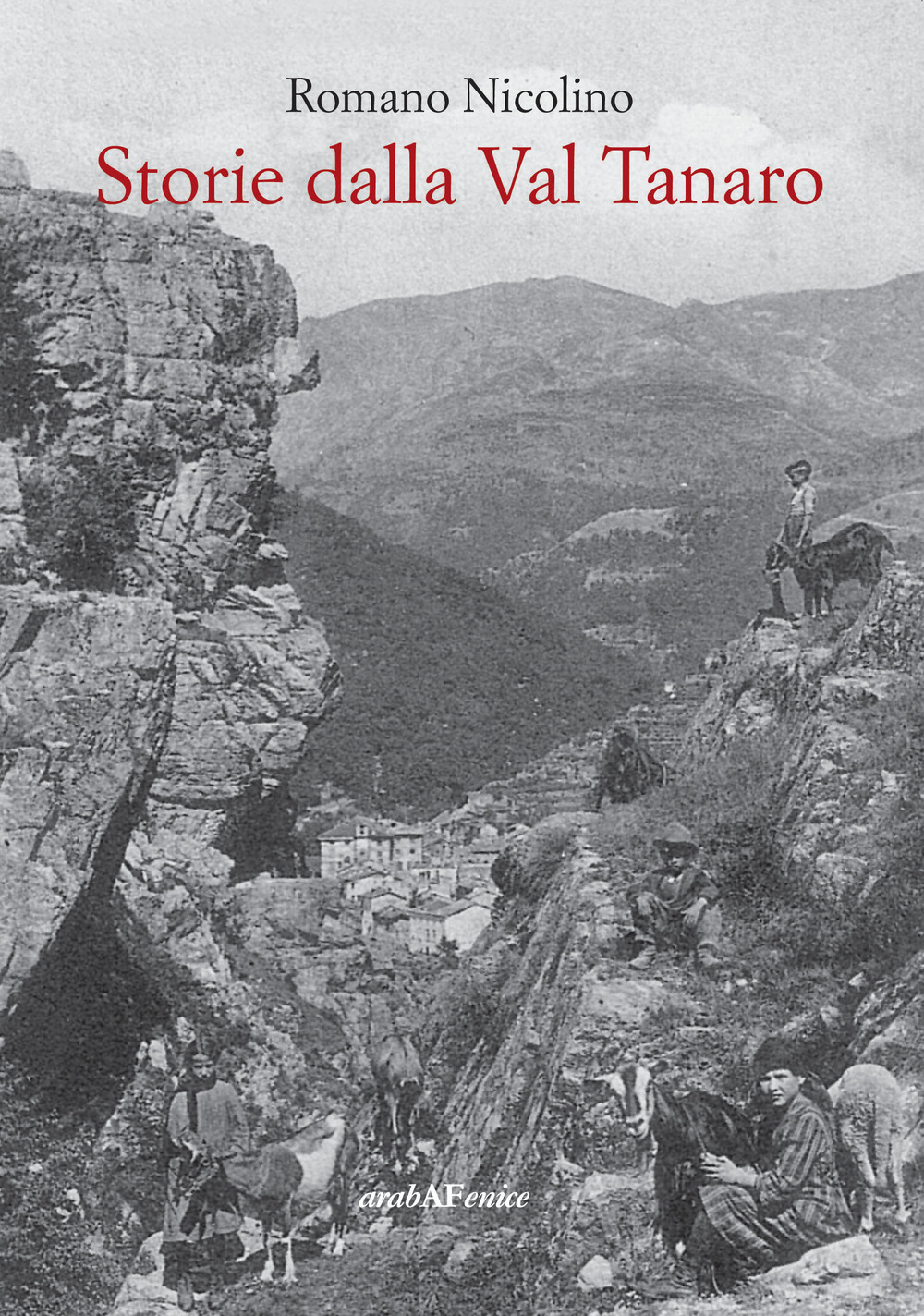 Storie della Val Tanaro