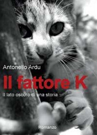 Il fattore K